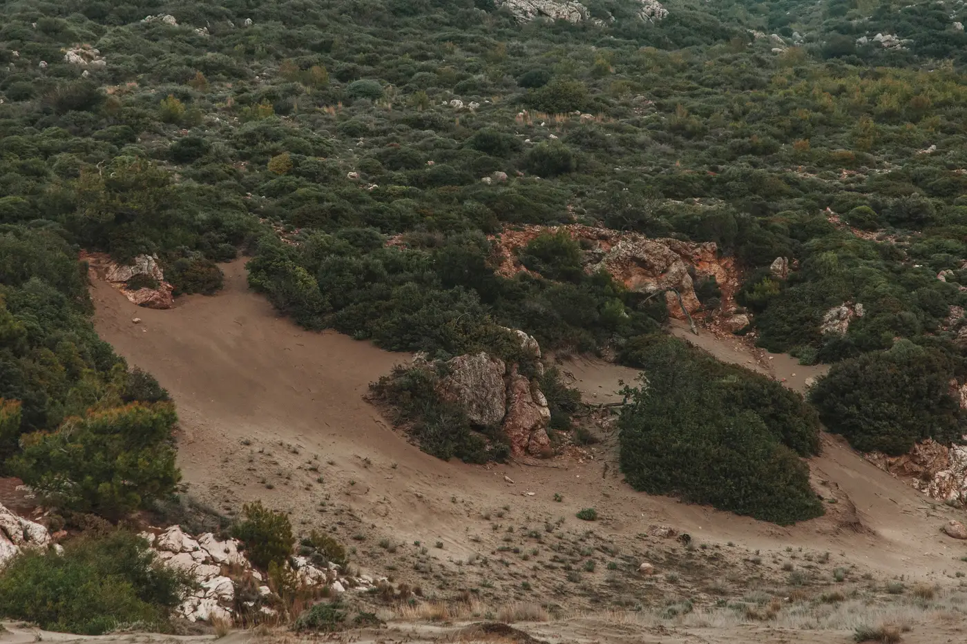 A hillside densely covered in green shrubs and brush, with rock outcrops and bare dirt patches.