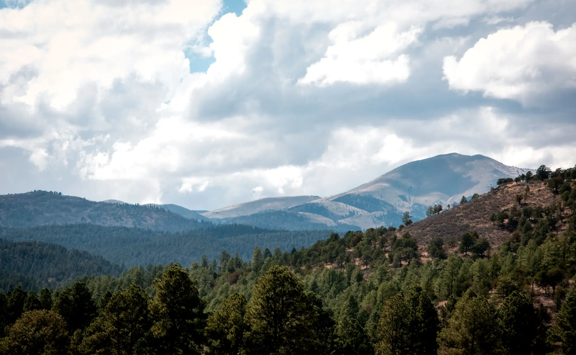 Pine-covered ridges below a bare summit under heavy cloud